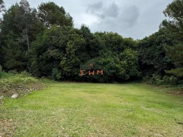 Terreno venda em Região Geográfica Imediata de Caxias do Sul, Farroupilha