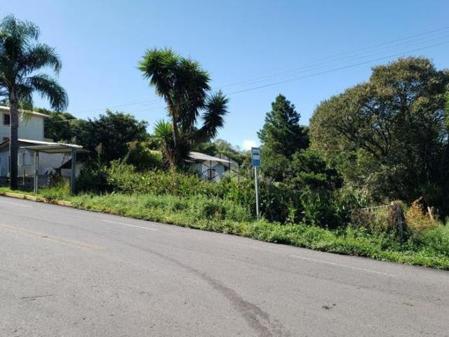 Terreno venda em Região Geográfica Imediata de Caxias do Sul, Caxias do Sul