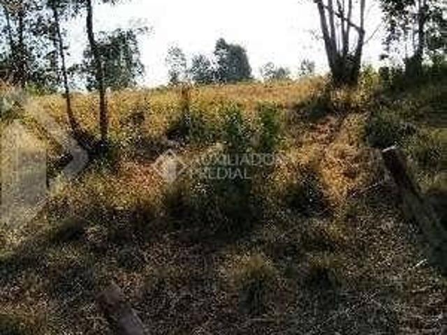 Terreno venda em Região Geográfica Imediata de Porto Alegre, Região Metropolitana de Porto Alegre