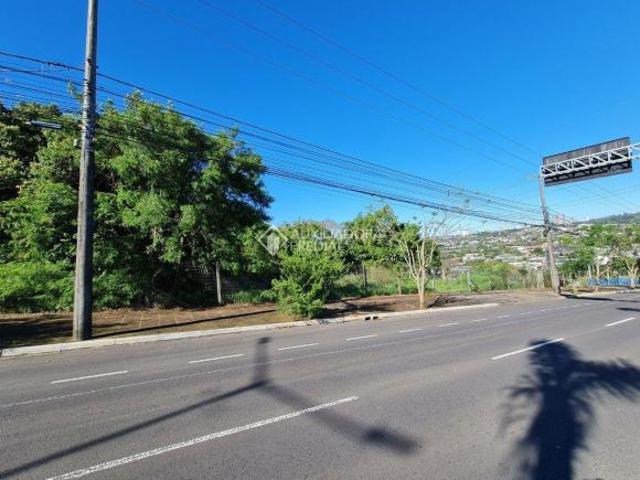 Terreno venda em Campo Bom