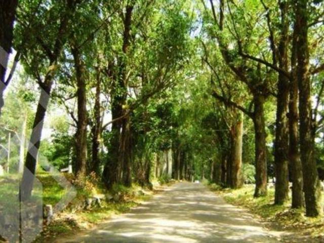 Terreno venda em Região Geográfica Imediata de Porto Alegre, Região Metropolitana de Porto Alegre