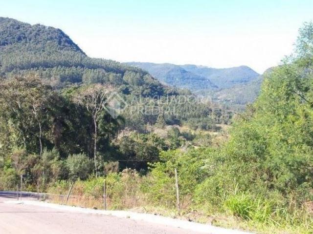 Terreno venda em Picada Café