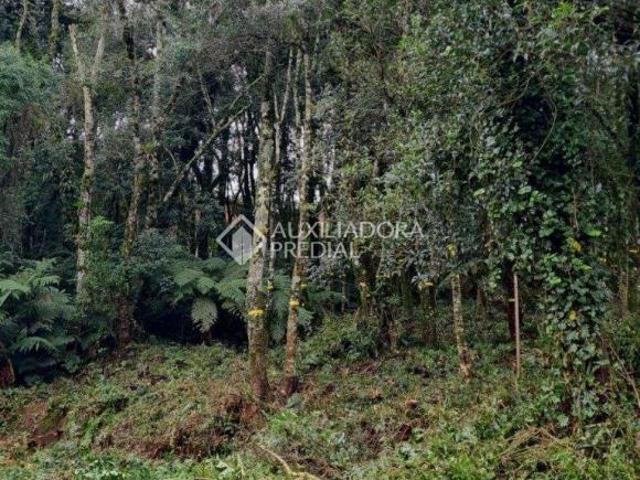Terreno venda em Região Geográfica Imediata de Caxias do Sul, Canela