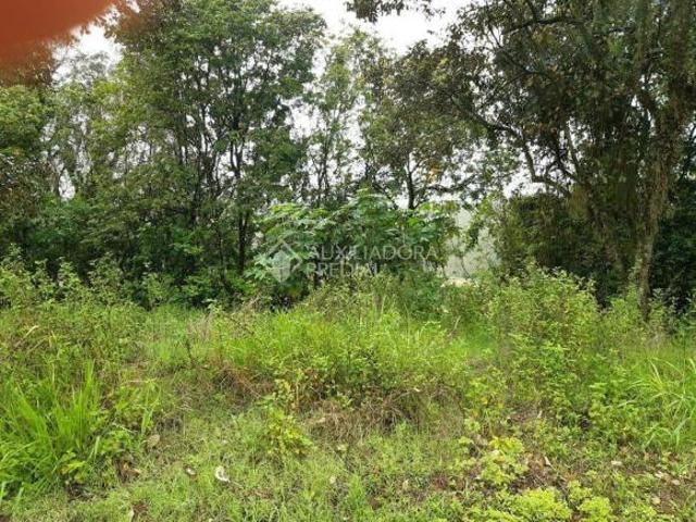 Terreno venda em Região Geográfica Imediata de Lajeado, Arroio do Meio