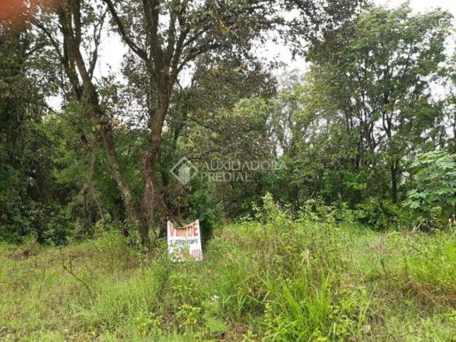 Terreno venda em Região Geográfica Imediata de Lajeado, Arroio do Meio
