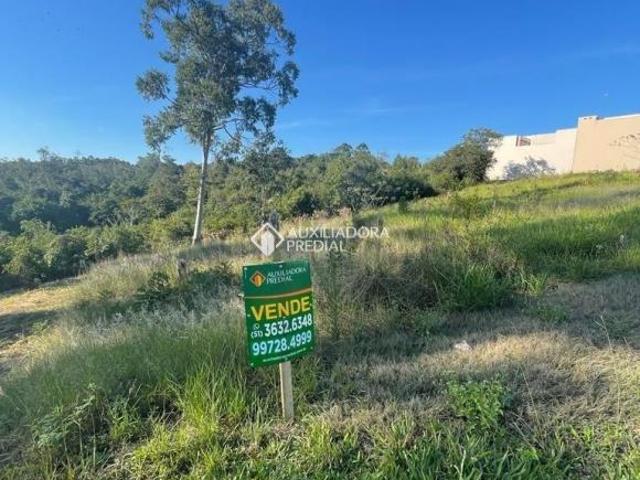 Terreno venda em Região Geográfica Imediata de Montenegro, Pareci Novo