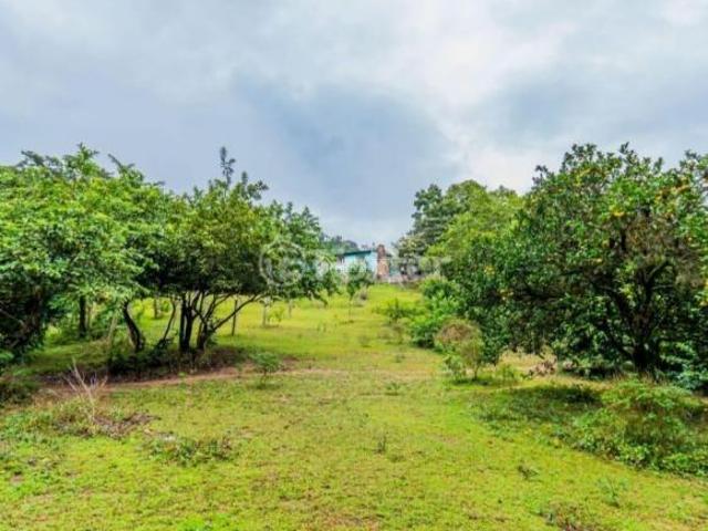 Terreno venda em Região Geográfica Imediata de Goiás - Itapuranga, Nova Crixás