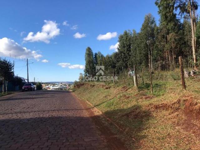 Terreno venda em Região Geográfica Imediata de Lagoa Vermelha, Lagoa Vermelha