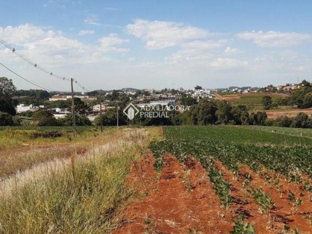 Terreno venda em Lajeado