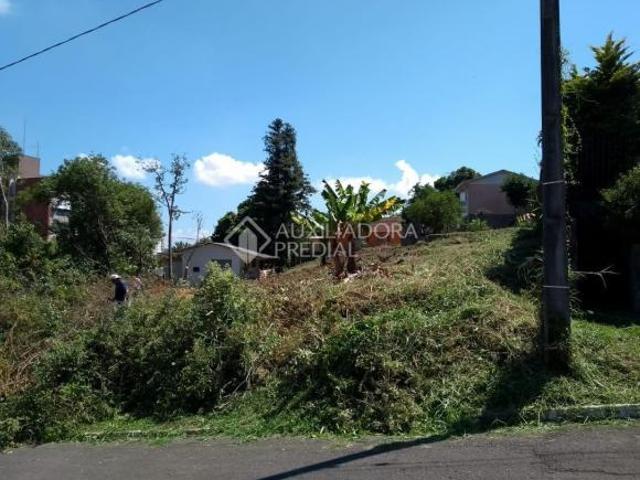 Terreno venda em Novo Hamburgo