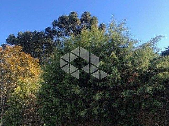 Terreno venda em Região Geográfica Imediata de Caxias do Sul, Caxias do Sul