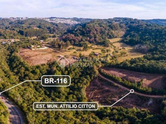 Terreno venda em Região Geográfica Imediata de Caxias do Sul, Caxias do Sul