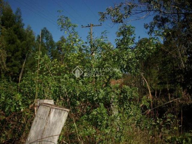 Terreno venda em Região Geográfica Imediata de Porto Alegre, Região Metropolitana de Porto Alegre