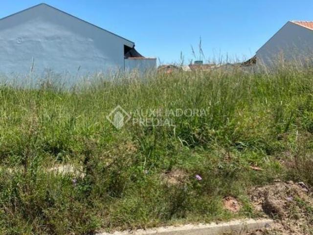 Terreno venda em Região Geográfica Imediata de Porto Alegre, Região Metropolitana de Porto Alegre