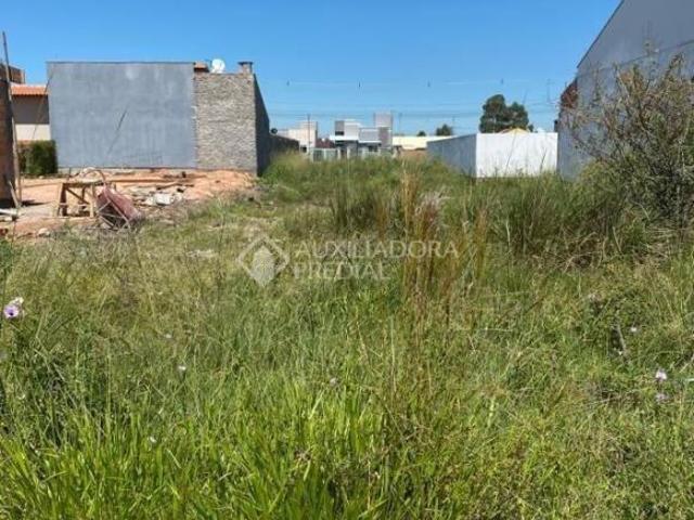Terreno venda em Região Geográfica Imediata de Porto Alegre, Região Metropolitana de Porto Alegre