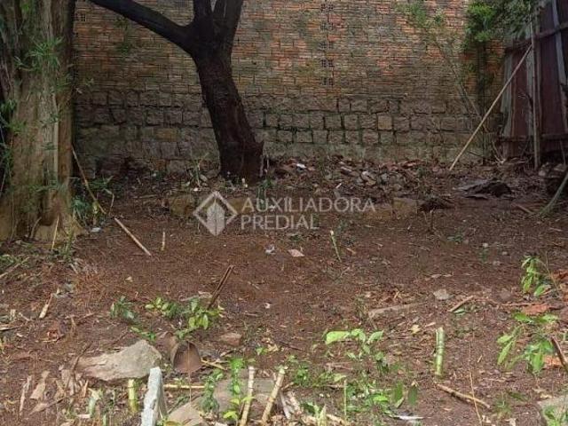 Terreno venda em Região Geográfica Imediata de Bento Gonçalves, Boa Vista do Sul