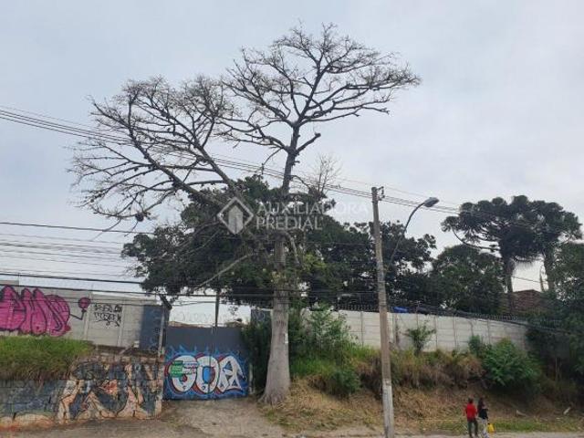 Terreno venda em Região Geográfica Imediata de Porto Alegre, Região Metropolitana de Porto Alegre