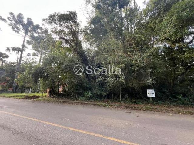 Terreno venda em Gramado