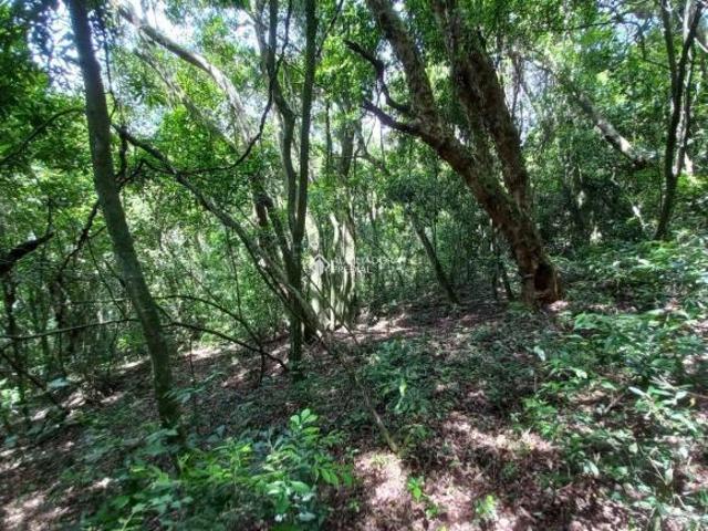 Terreno venda em Região Geográfica Imediata de Porto Alegre, Região Metropolitana de Porto Alegre