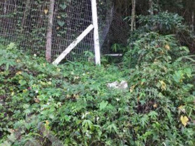 Terreno venda em Região Geográfica Imediata de Porto Alegre, Região Metropolitana de Porto Alegre