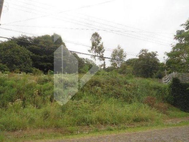 Terreno venda em Novo Hamburgo