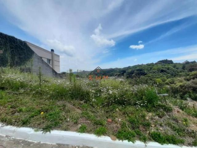 Terreno venda em Região Geográfica Imediata de Caxias do Sul, Farroupilha