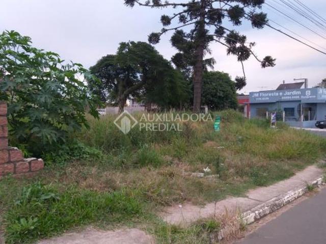 Terreno venda em Dona Eloah, Guaíba