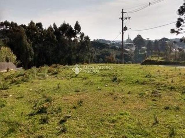 Terreno venda em Região Geográfica Imediata de Caxias do Sul, São Francisco de Paula