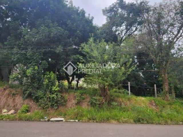 Terreno venda em Novo Hamburgo