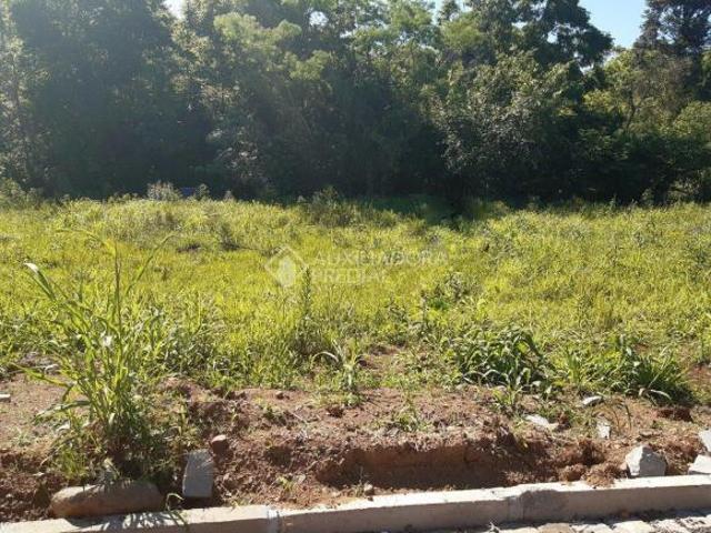 Terreno venda em Arroio do Meio