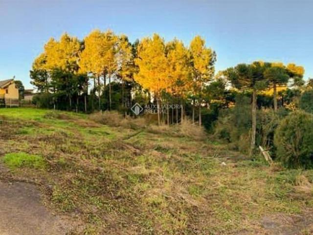 Terreno venda em Região Geográfica Imediata de Caxias do Sul, São Francisco de Paula