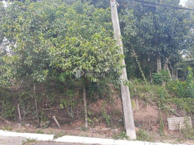 Terreno venda em Região Geográfica Imediata de Novo Hamburgo - São Leopoldo, Região Metropolitana de Porto Alegre