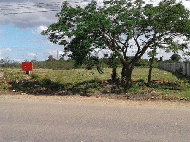 Terreno venda em Região Geográfica Imediata de Porto Alegre, Região Metropolitana de Porto Alegre