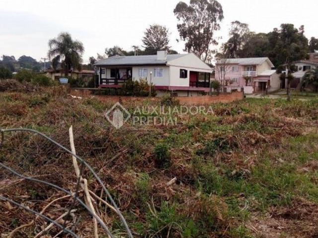 Terreno venda em Região Geográfica Imediata de Caxias do Sul, Caxias do Sul