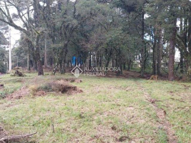 Terreno venda em Região Geográfica Imediata de Caxias do Sul, Canela
