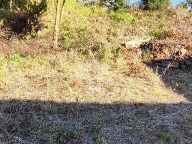 Terreno venda em Região Geográfica Imediata de Caxias do Sul, Farroupilha