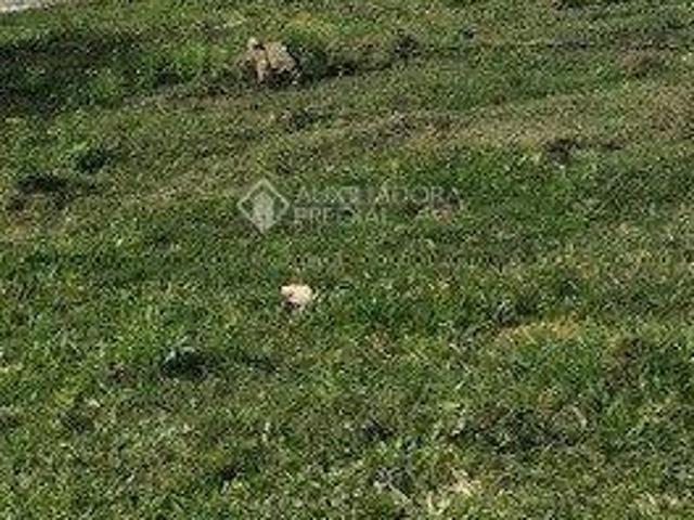 Terreno venda em Sede, Eldorado do Sul