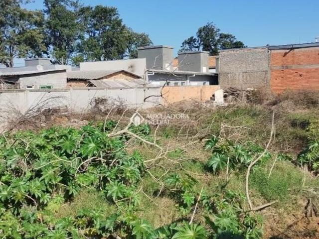 Terreno venda em Sede, Eldorado do Sul