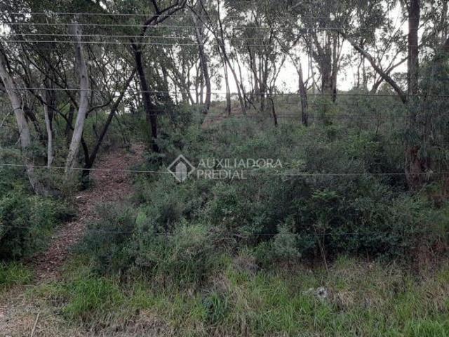 Terreno venda em Região Geográfica Imediata de Porto Alegre, Região Metropolitana de Porto Alegre