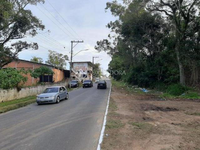 Terreno venda em Região Geográfica Imediata de Goiás - Itapuranga, Nova Crixás