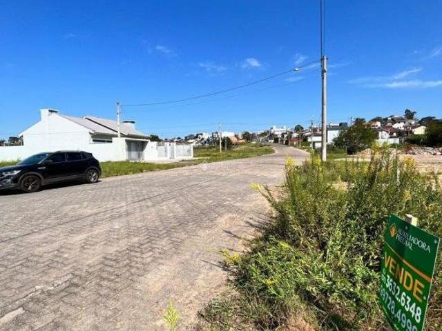 Terreno venda em Região Geográfica Imediata de Montenegro, Região Metropolitana de Porto Alegre