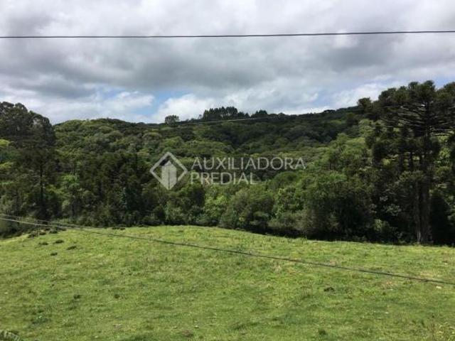 Terreno venda em Região Geográfica Imediata de Taquara - Parobé - Igrejinha, Três Coroas