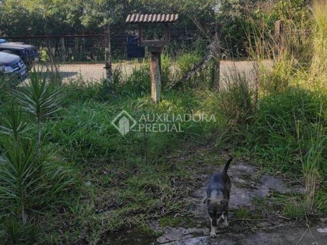 Terreno venda em Região Geográfica Imediata de Montenegro, Região Metropolitana de Porto Alegre