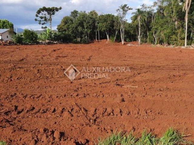 Terreno venda em Região Geográfica Imediata de Novo Hamburgo - São Leopoldo, Região Metropolitana de Porto Alegre