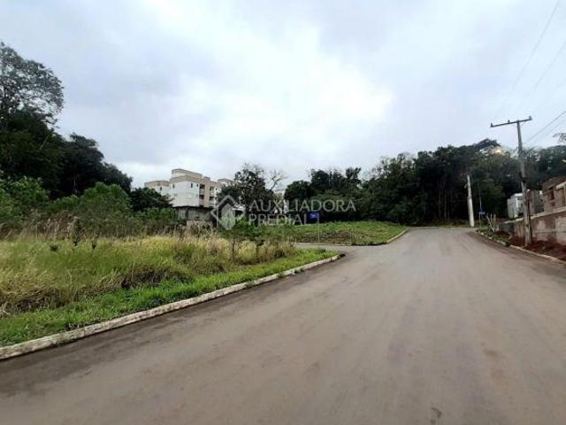 Terreno venda em Lajeado