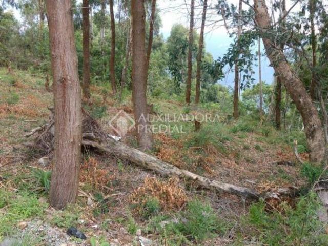 Terreno venda em Região Geográfica Imediata de Caxias do Sul, Canela
