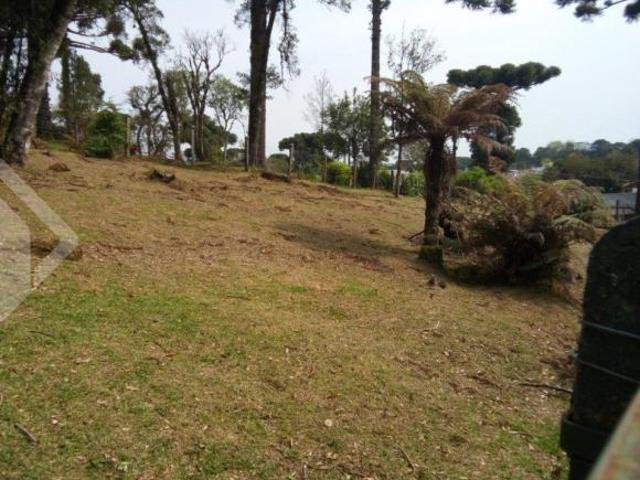 Terreno venda em Canela