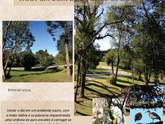 Terreno venda em Região Geográfica Imediata de Caxias do Sul, Canela