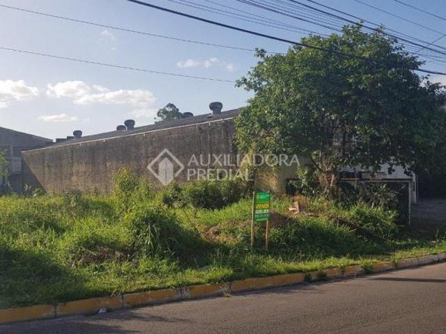 Terreno venda em Região Geográfica Imediata de Novo Hamburgo - São Leopoldo, Região Metropolitana de Porto Alegre