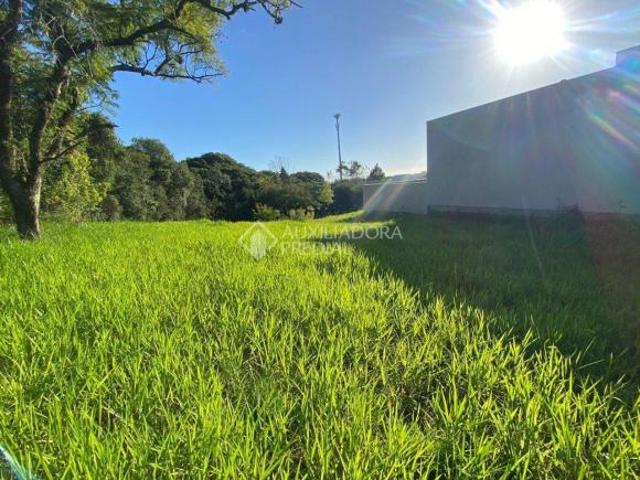 Terreno venda em Campo Novo, Porto Alegre